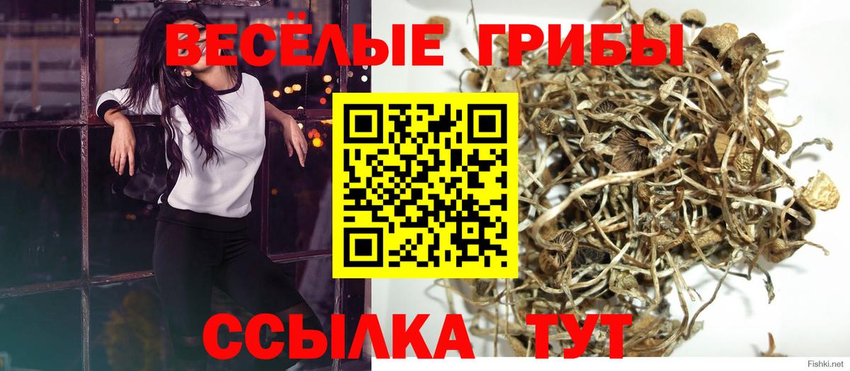 Галлюциногенные грибы ЛСД  Вход с VPN  Верхний Уфалей 